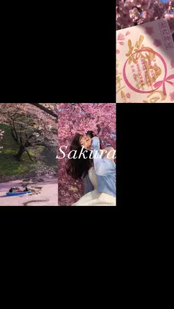 桜の季節がやってくる🌸