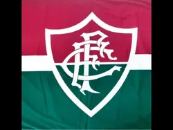 fluminense perdeu