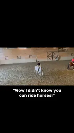Equine edit