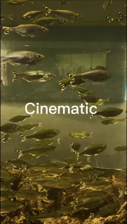 Movie Time
