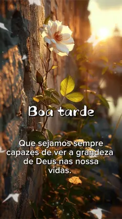 Boa tarde 🌼