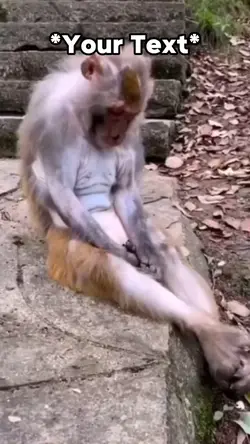 Monkey Sad