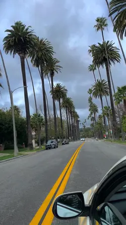 Beverly Hills 🌴
