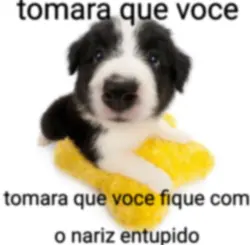 Meus kinnies