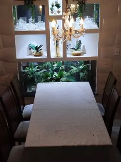 dia dos país 