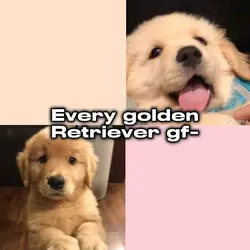 So cutesy