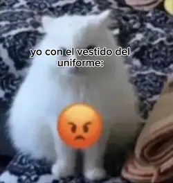 es que... 