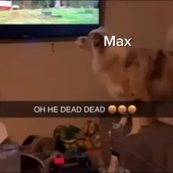 Max and ruby???🤩