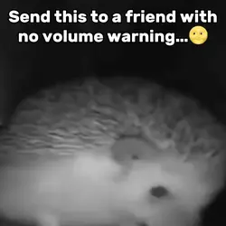 No Volume Warning