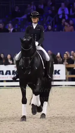 Horse Riding