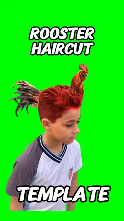 Rooster haircut 