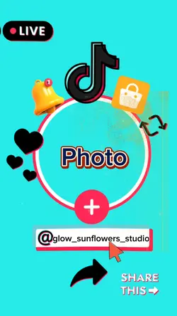 TikTok  Profil
