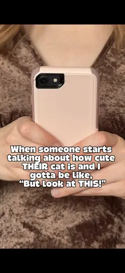 Cat photo flex