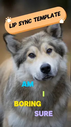 Lip sync pet
