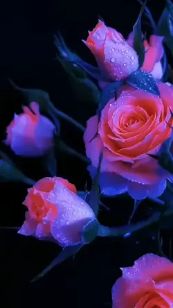 Feliz Dia Mama