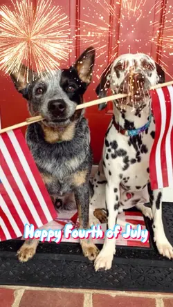 Happy Fourth of July