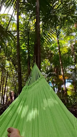 Carimbo da Pororoca