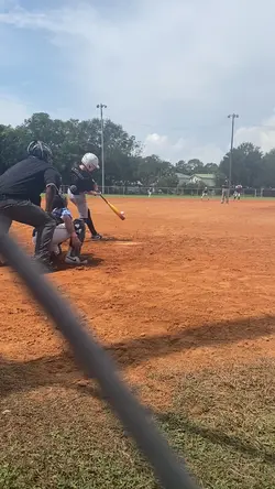 baseball clips