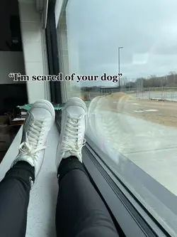 My dog??