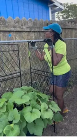 Trellis For Squash