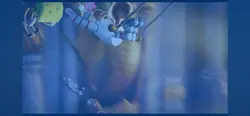 That one rio edit