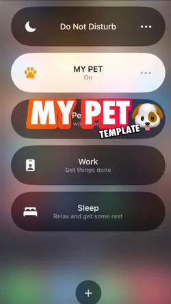 My pet🐶❤️