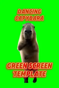 Dancing Capybara