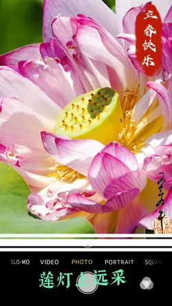 立春Early Spring