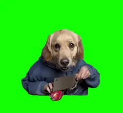 Chef Dog