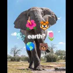 earth.