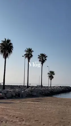 mini vlog