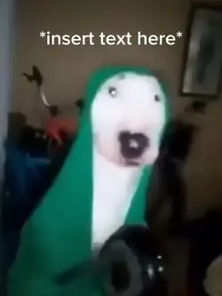 Dog on strike 