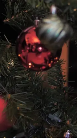 christmaseffects 