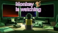 Monkey watching u