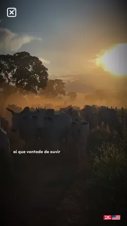 Memória esquecida 