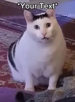 Huh?