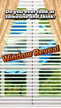 Window Reveal