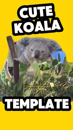 Cute Koala