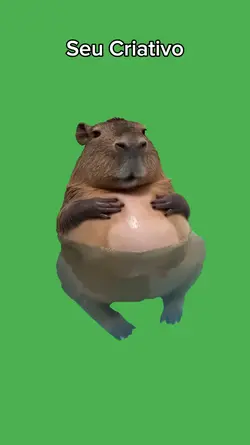 capivara