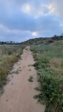 Fitness Journey Hike