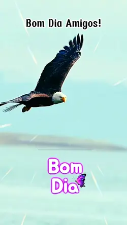 Pessoas Especiais!