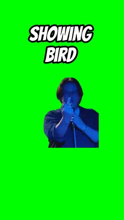 Showing bird 