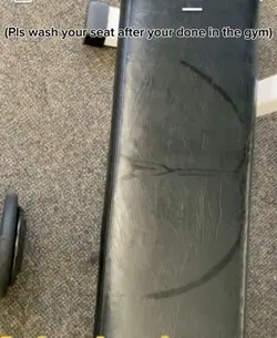 pls