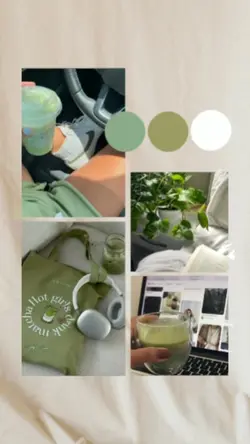 Layout INSTA Story