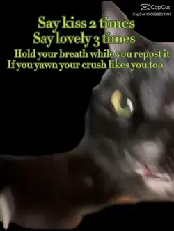 Did it work 