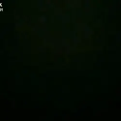 your text