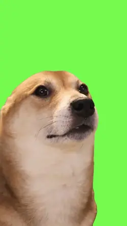 Dog Dancing 