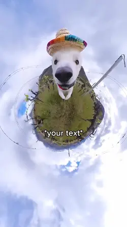 Dog gopro run