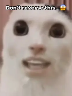 Scary Meme