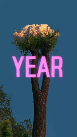 This is my yea